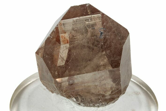 Glassy Rutilated Smoky Quartz Crystal - Brazil #244793